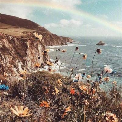 q版绝地求生游戏下载